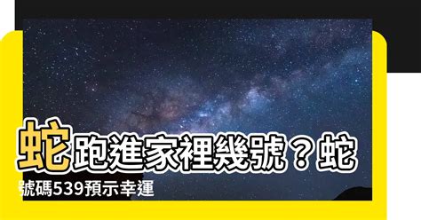 蛇跑進家裡幾號|家裡進蛇千萬謹記一定不要這樣做！否則橫禍將至，會。